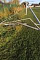 Mighty Dragons JFC net destroyed by vandals at Hollinwood Cricket Club