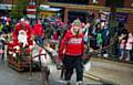 Reindeer parade