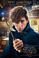 Eddie Redmayne as Newt Scamander in Fantastic Beasts And Where To Find Them 