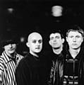 NOW CHART STARS . . . the Carpets in May, 1993. Left to right are Graham, Martyn, Tom, Craig and Craig.