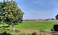 OPEN land in Cowlishaw, Shaw