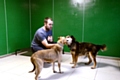 Michael Waugh with guests Robert (left) and Kujo.