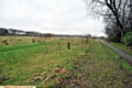 PITCH battle . . . the site of the application — fields behind Higher Lime Road, Limehurst Village