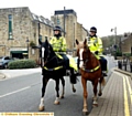 ALL geed up . . . police horses on Uppermill High Street