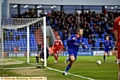 OH YES! Skipper Liam Kelly wheels away to celebrate the opening goal.