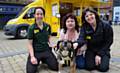 Dogs Trust Dogmobile visits Oldham town centre to raise funds for the Dogs Trust Manchester Rehoming Centre. Left to right, Mel Bannister (rehoming centre), Janice Haskins, Laura Nicholas (Dogmobile asst. manager). And Noel the dog in foreground.