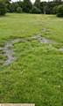 THE rain-sodden carnival site in Alexandra park