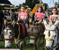 GEE up! From the left, Liana, Diana and Seherezade Petrovics, enjoying a donkey ride 