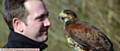 LUKE Summers who has given up his job as a corporate development manager to become a mobile bird and pest technician, a falconer. He is pictured with Scarlett, a young Harris Hawk.
