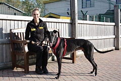 Event organiser Abbie Boston with greyhound Tictac