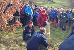 Planting Roy Taylor's memorial tree in the Dovestone Celebration Wood