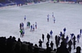 Chaos reigned briefly in the second half when referee Seb Stockbridge (furthest left) halted the match for what turned out to be eight minutes