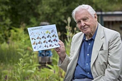 Sir David Attenborough 