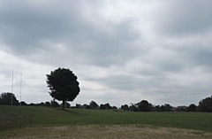 It was a cloudy scene looking across Oldham Edge this morning