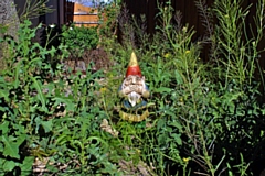 Even gnomes get embarrassed by their garden!