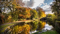 Autumn River Colours