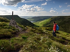 Dovestones goes International