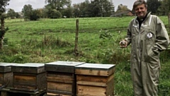 Rev Dr Mike Donmall with hives