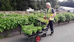 Council gardeners, who would normally have been getting ready to brighten up the borough in time for summer, switched petunias for potatoes and busily started growing vegetables