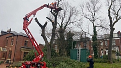 Oldham Council has been busy tackling the dangerous ash tree disease