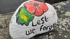 Rachel Fish has been painting stones to raise money for the Poppy Appeal