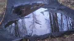 The new pond on land alongside the canal in Uppermill