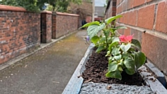 The Coldhurst alleyways now look much brighter and welcoming