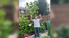 Mike Tyson is pictured with his giant sunflowers