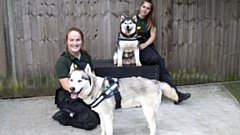 Canine carers Meg Sutton (front left) and Maisie Murchison are pictured with Alpha and Sasha