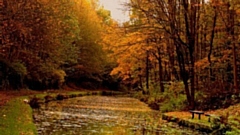 Beautifully pictured is the Huddersfield Narrow Canal at Mossley