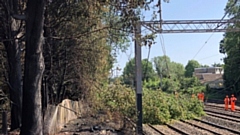 A tree blocking the West Coast main line after a fire in Harrow