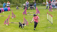 The Fun Dog Show will again feature heavily at the Saddleworth Show