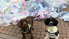 Officers visited nine premises across the borough - with help from two sniffer dogs, Skye and Louie