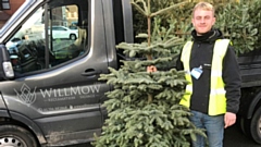 Will Mowbray, director of WillMow Reclamation, collecting a tree in January last year